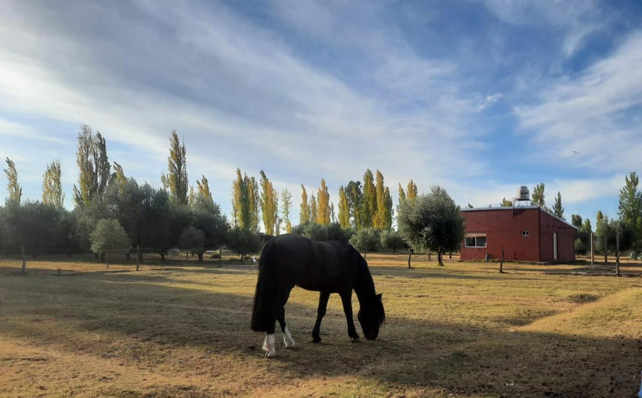 Finca La Calma San Rafael  Kültér fotó