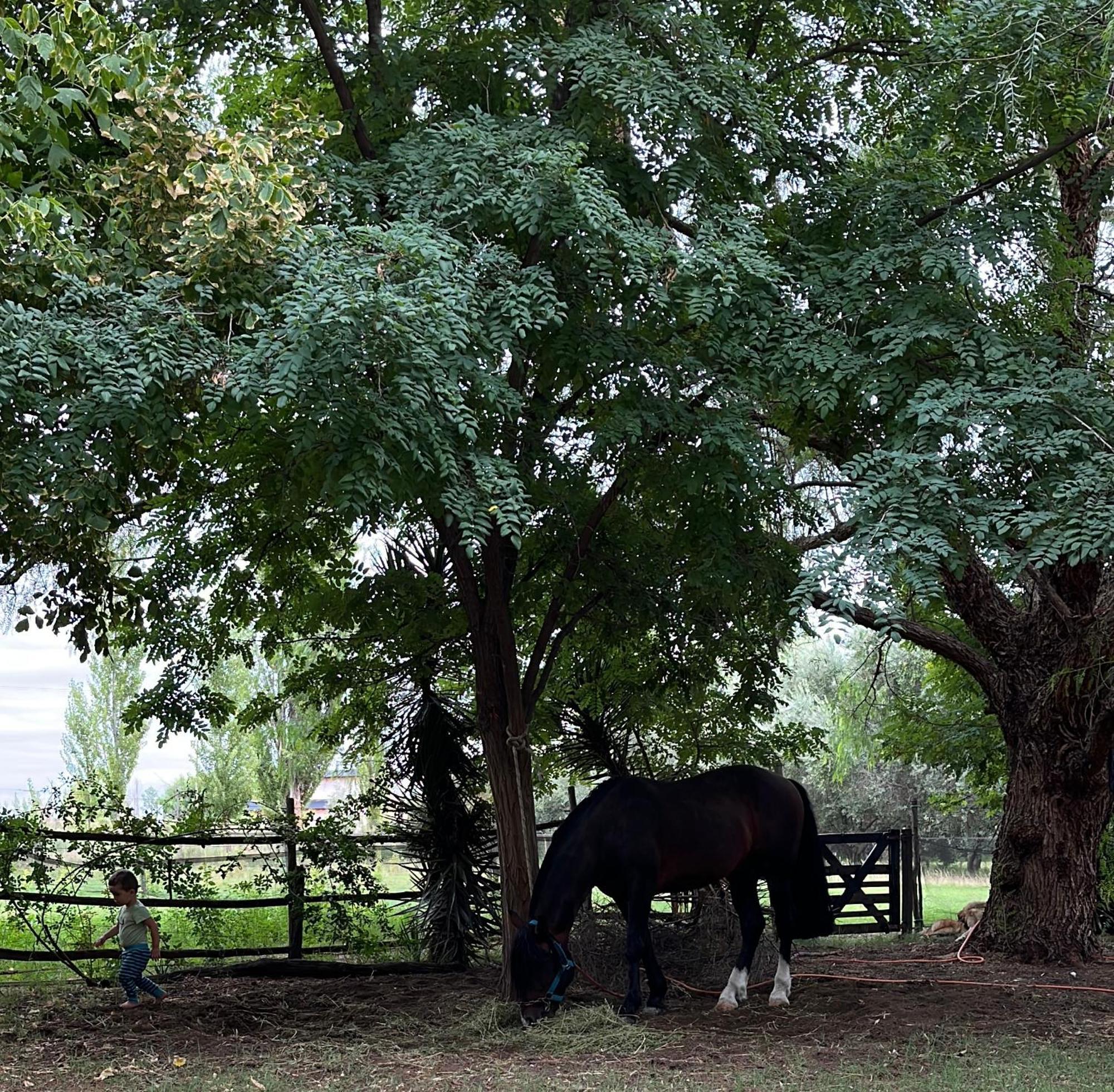 Finca La Calma San Rafael  Kültér fotó